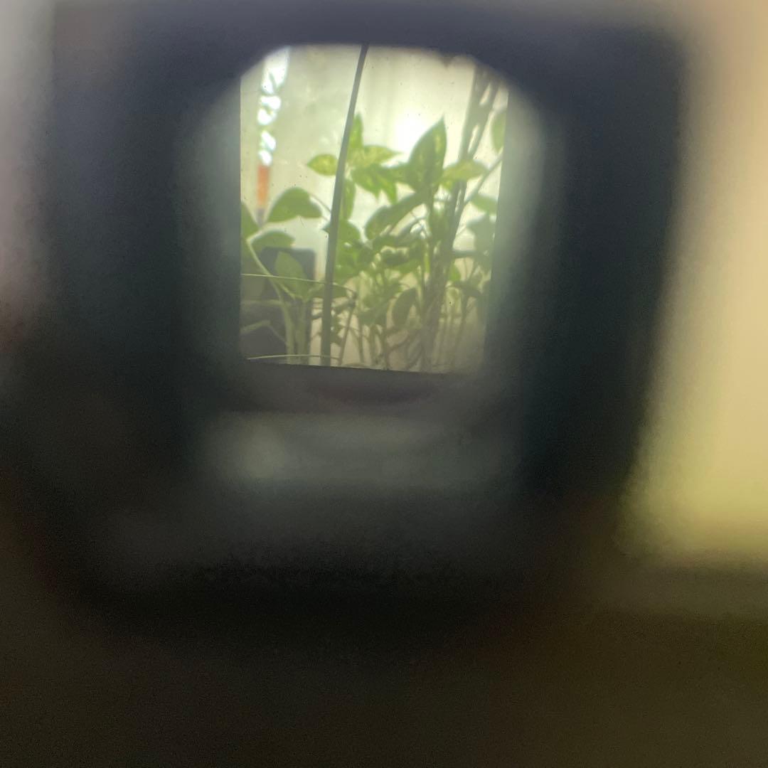 オリンパスPEN花文字と2レンズ