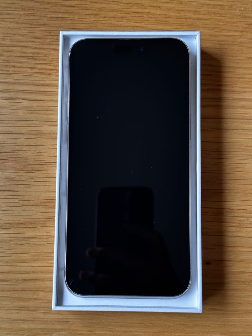 [山口さん専用]Apple iPhone 15 Pro Max 256GB 本体