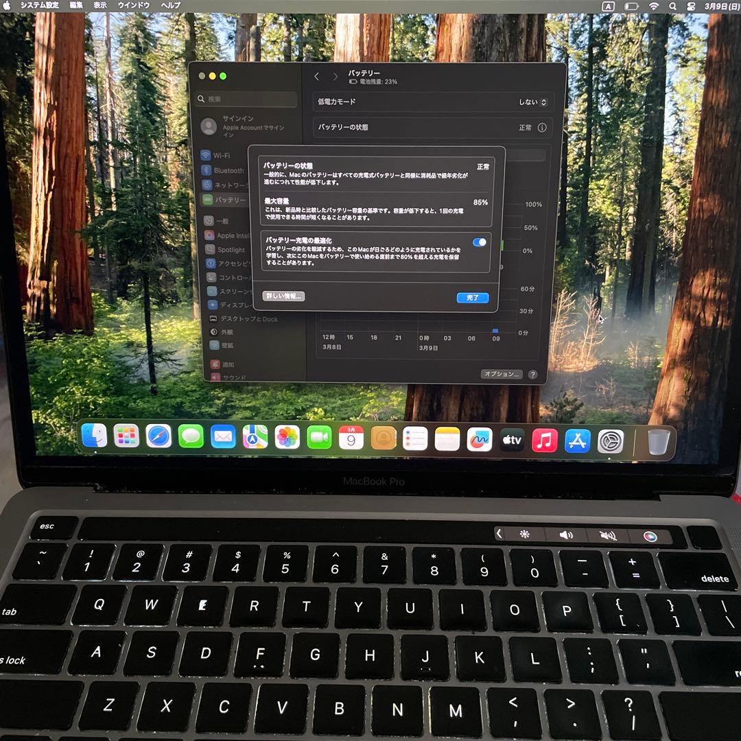 (まいさん専用) MacBook Pro M1 US 配列 8GB/256GB