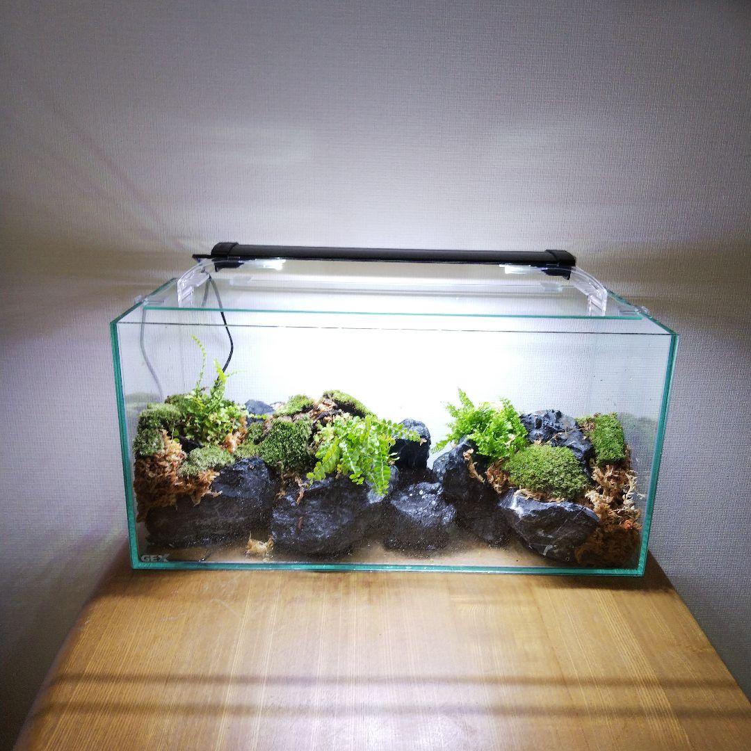 もじのすけページ