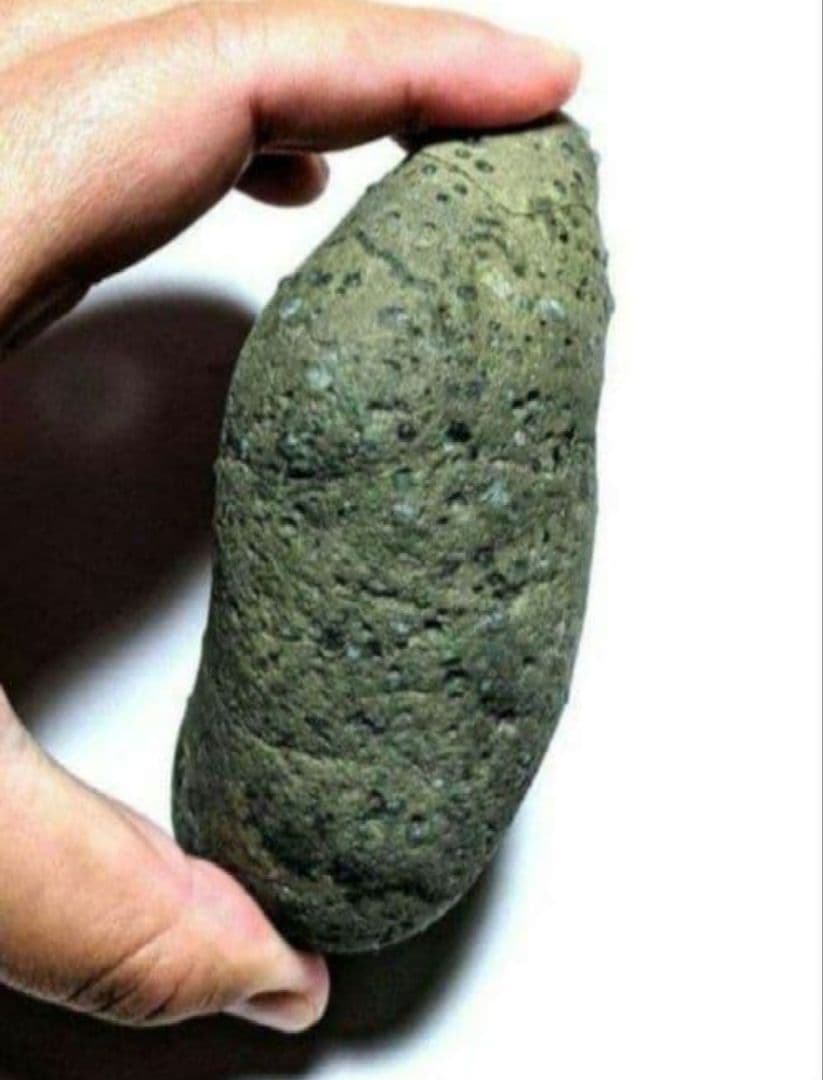 青森県産 今別町産 袰月産 舎利母石 原石 奇石 安山岩 子持ち石 一点物 D