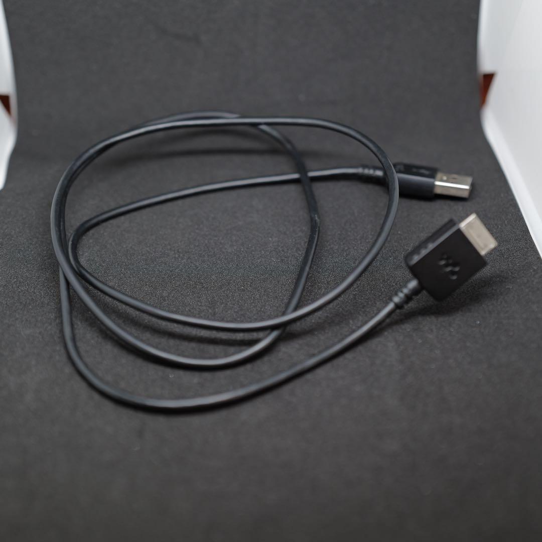 SONY WALKMAN A50シリーズ NW-A57 (L)（64GB）