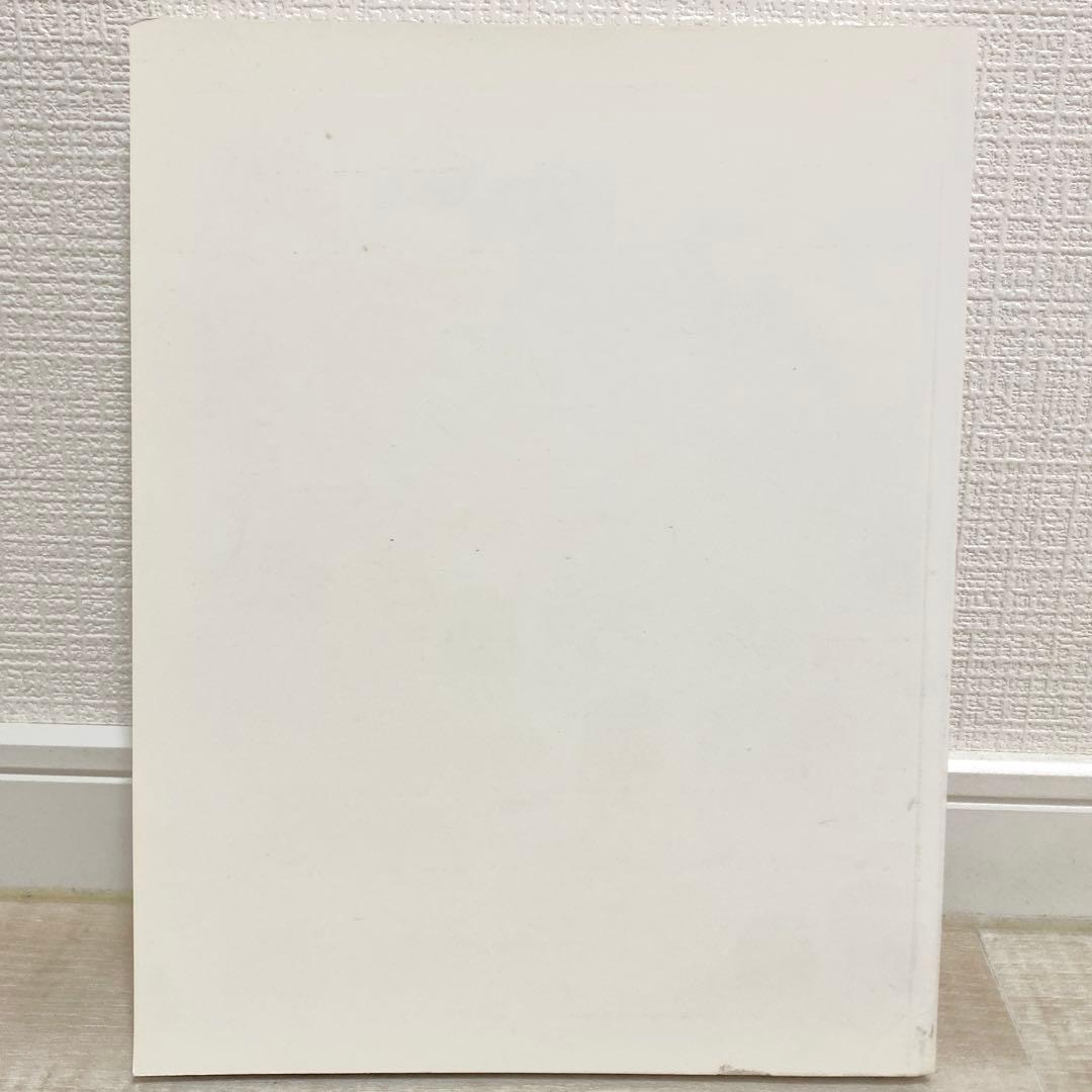 値下げ不可AN IDEA BOOK ABOUT TSHIRT BY STUSSY