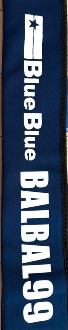 ブルーブルー BlueBlue バルバル99 極美品　シーバス　サーフ　ルアー