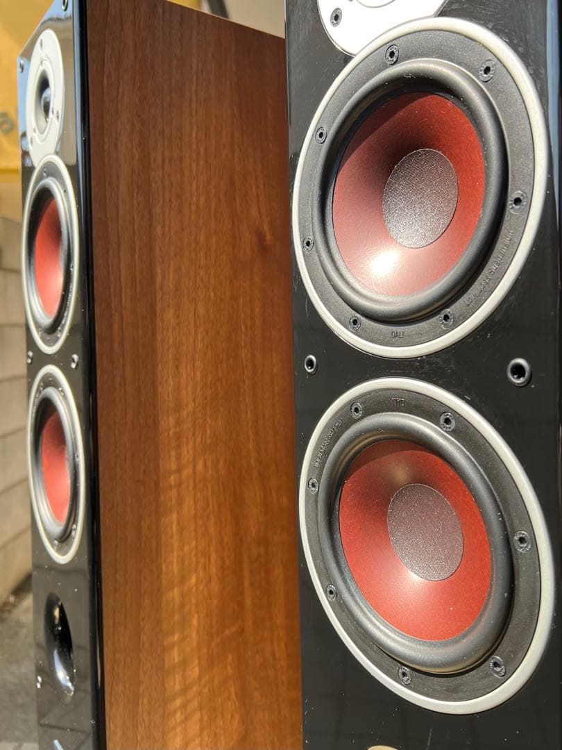 DALI ZENSOR 5 フロアスタンディングスピーカー（木目調仕上げ高品質）