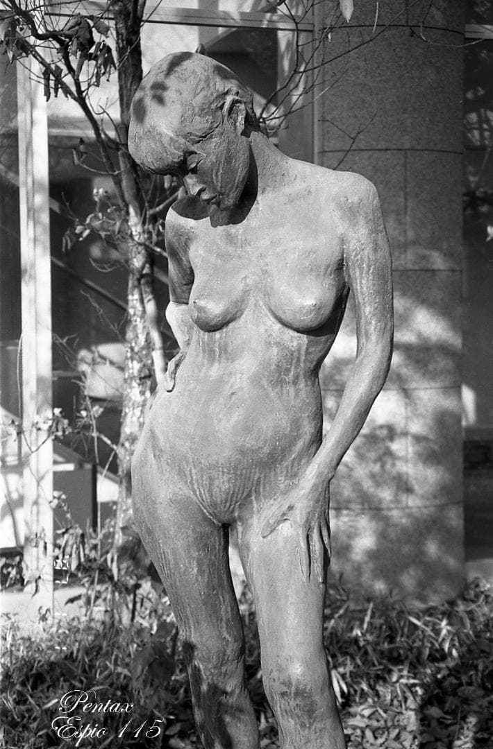 【フィルム実写作例あり】PENTAX ESPIO 115 コンパクトカメラ