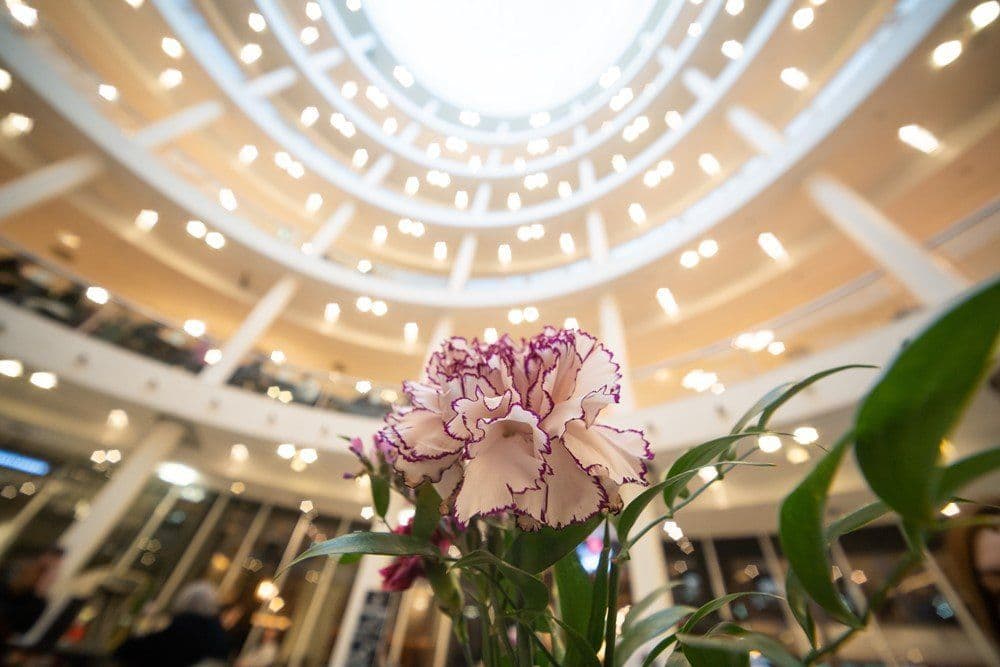 レンズ(ズーム) LAOWA 12-24mm F5.6 FFII C-Dreamer sony E