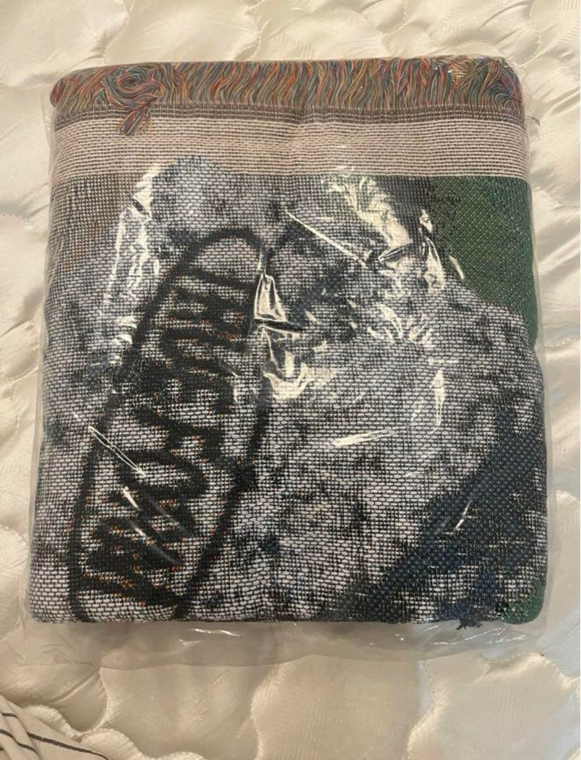 【完売品、美品】 ECONOMICS EXPERIMENT ラグ　マット