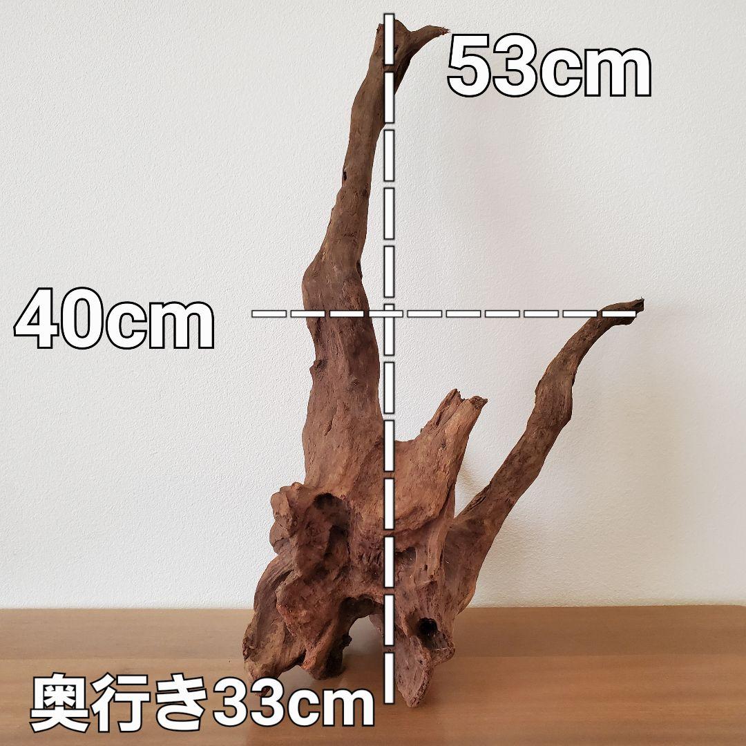 【353】流木　インテリアや爬虫類などに　止まり木　アクアリウム