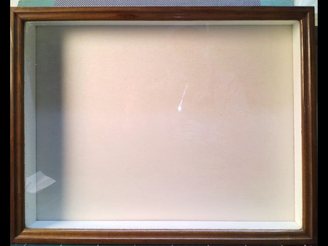 ドイツ箱 2個セット(昆虫標本用)