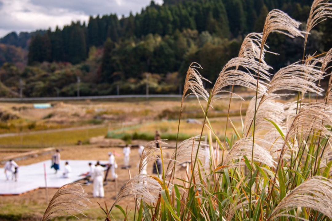 2025年収穫 無肥料　農薬不使用　カット稲わら 発送最大180〜200サイズ