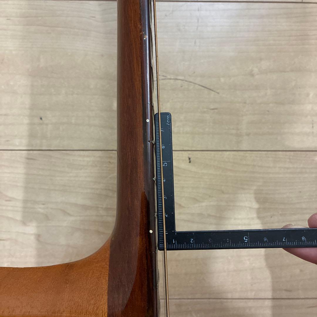 激レア　ZENON 全音　アコースティックギター　ハミングバードタイプ