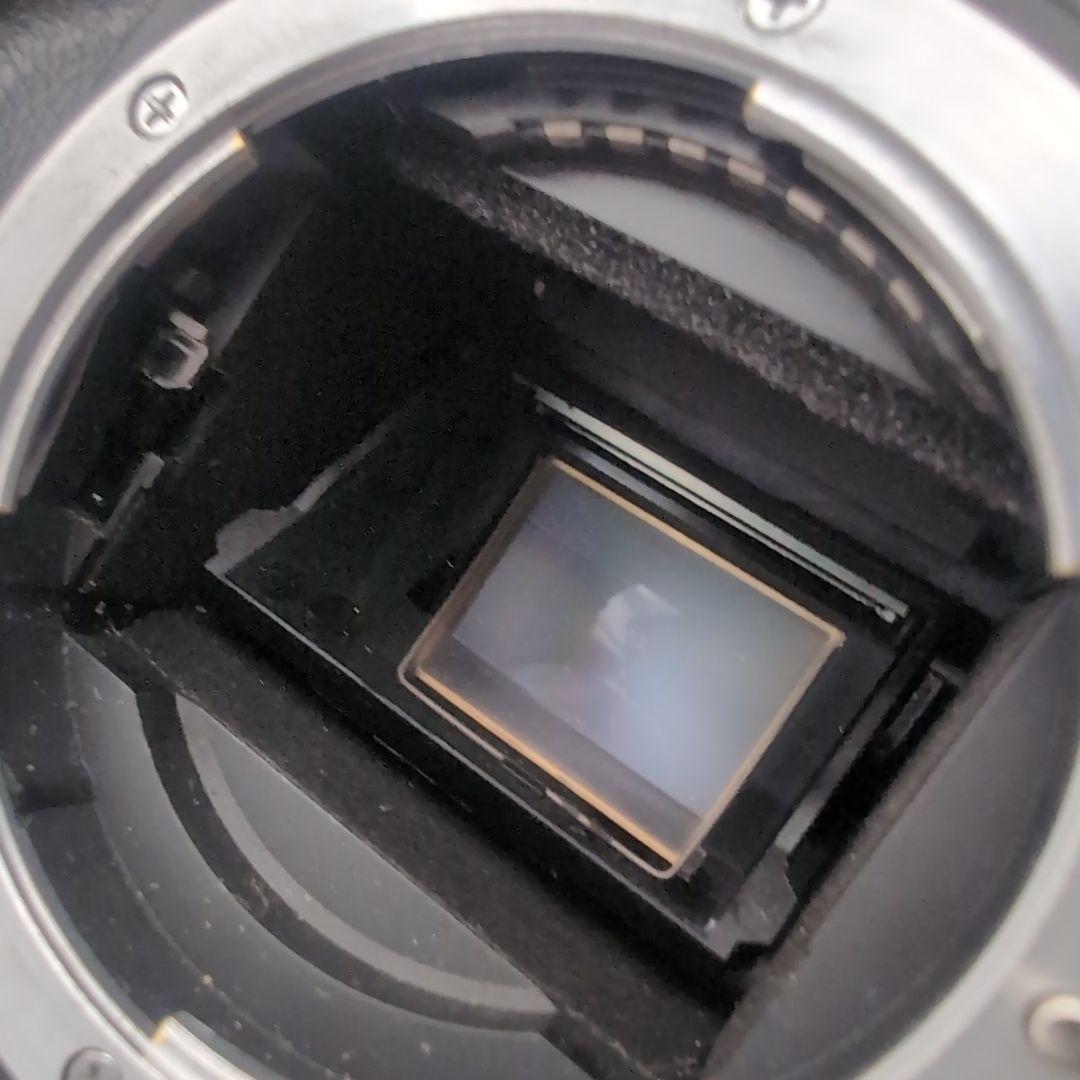 Nikon D70s ボディ レンズ AF-s 18-55mmf3.5-5.6