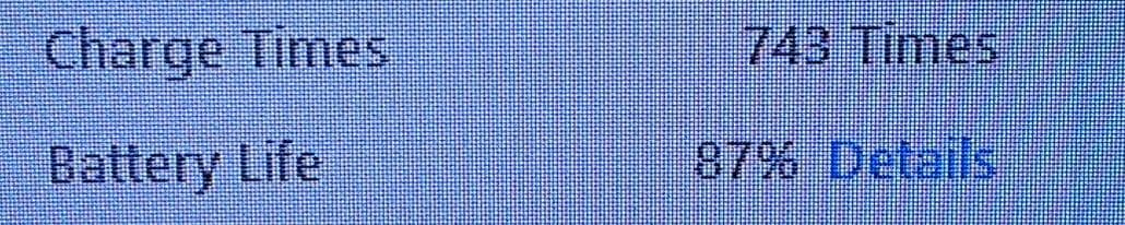 A4599 SIMフリー iPad mini 第4世代 128GB セルラー