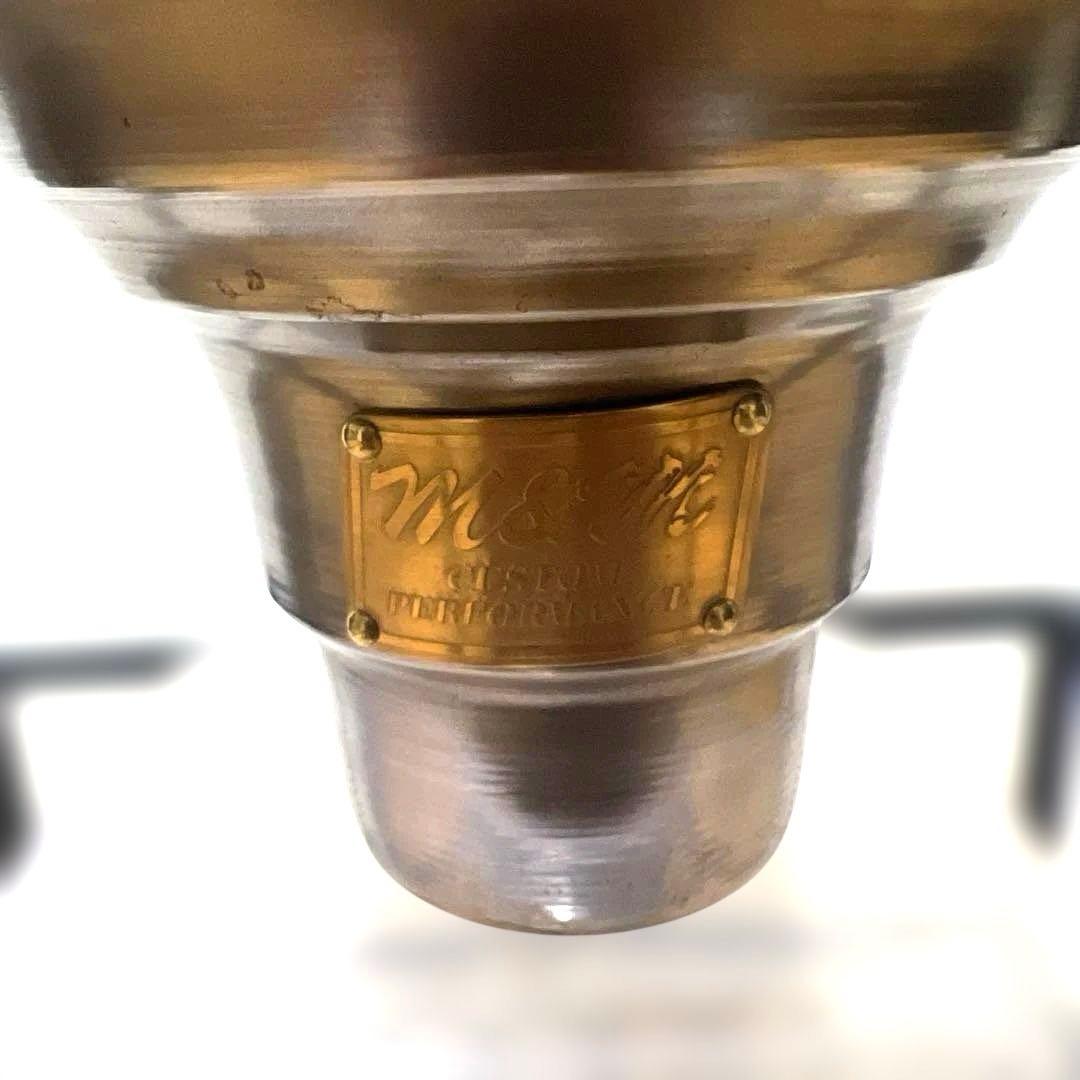 アガベ 鉢植発送 ドラゴンアガベ 暴牙 M&M鉢付　販売証明完備