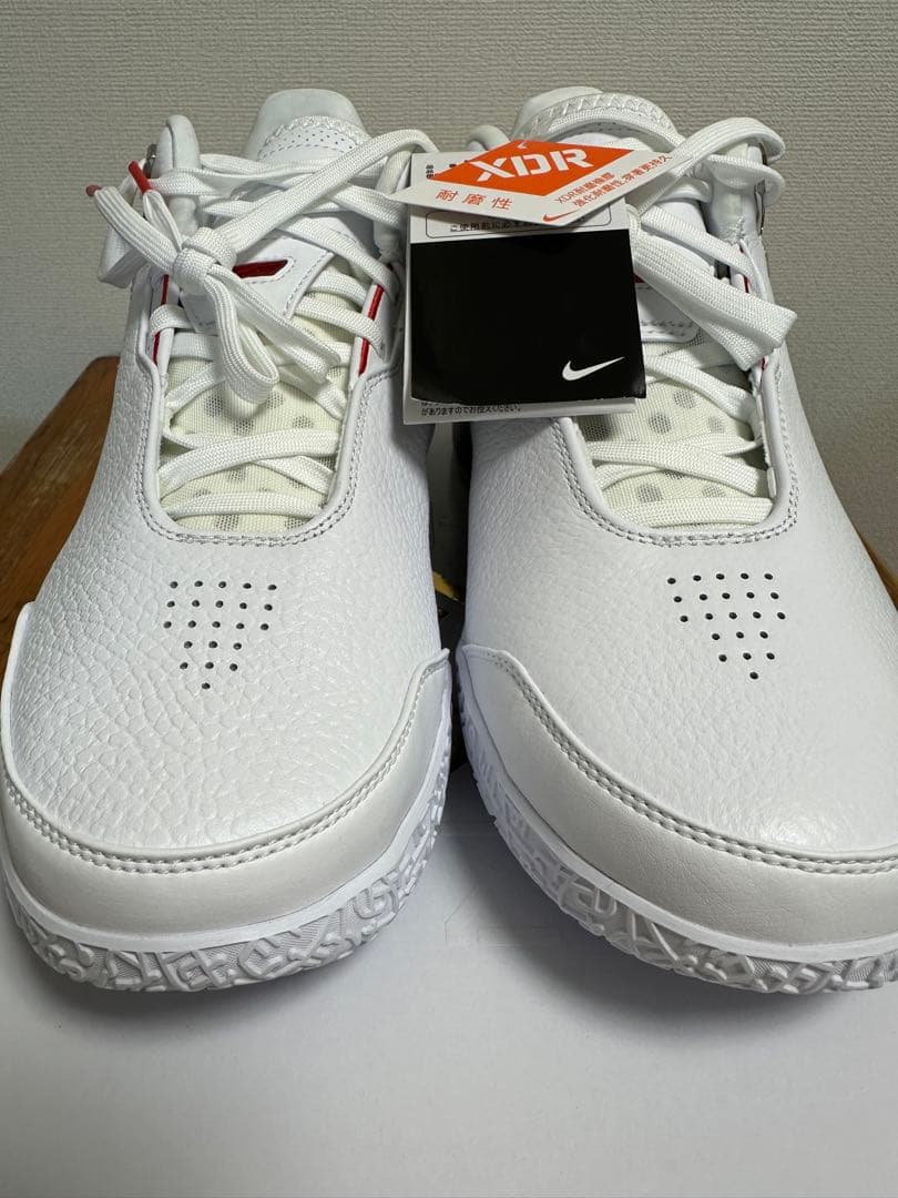 新品未使用NIKE LEBRON NXXT GEN AMPD EP28.5cm②