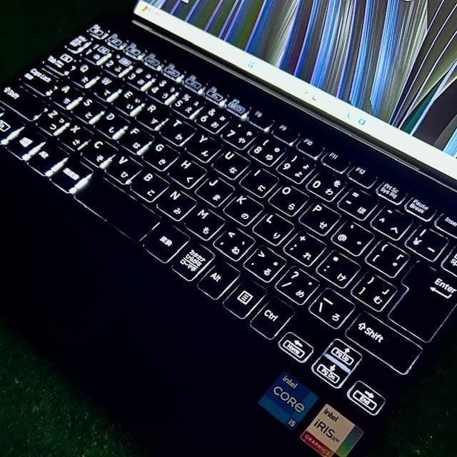 もな王！ VAIO Pro PJ