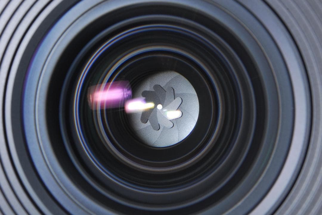 レンズ(単焦点) Nikon AF-S NIKKOR 24mm f/1.4G ED L0263