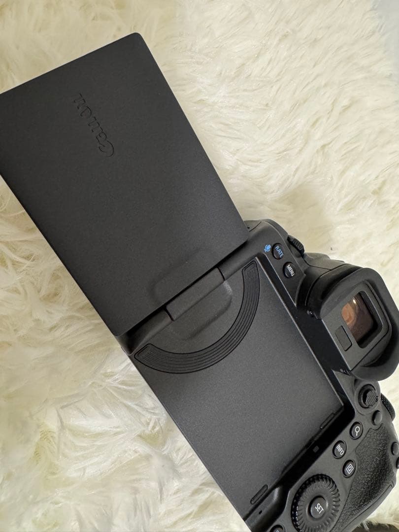 Canon EOS R5 本体 +バッテリー