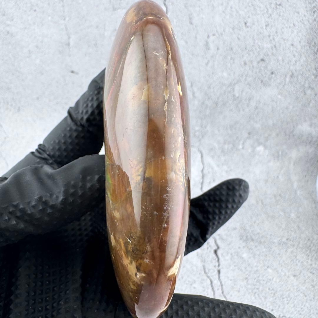 G-77天然アンモナイト原石　游色多色アンモナイト化石 天然石　コレクション標本