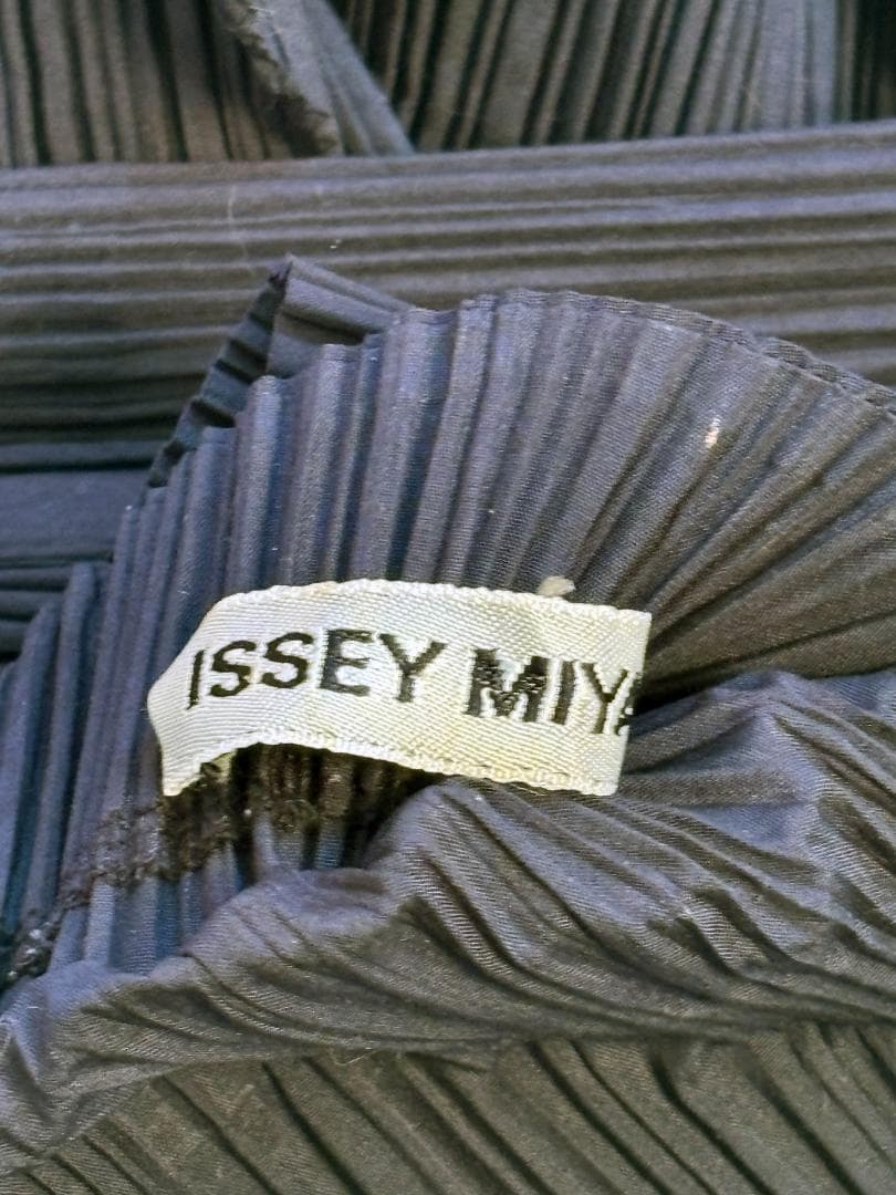 [超希少] ISSEY MIYAKE 平面 二次元 変形 ボーダー入りプリーツ