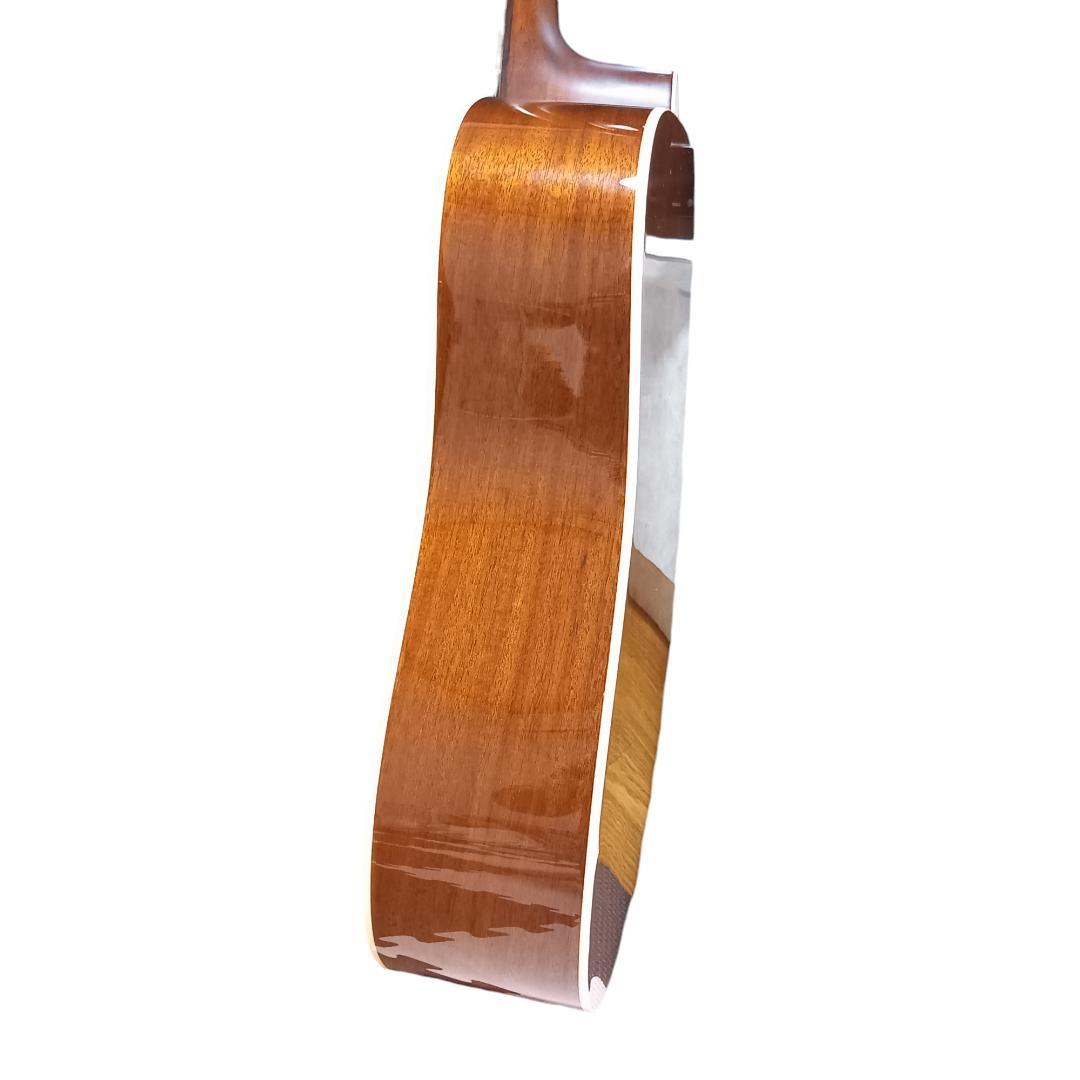 ケース付属★ Aria アリア AD-40LTD アコースティックギター