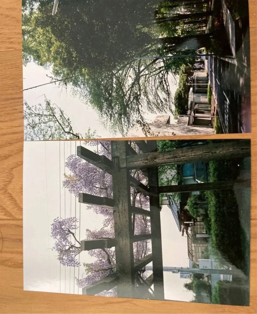 京セラ T PROOF