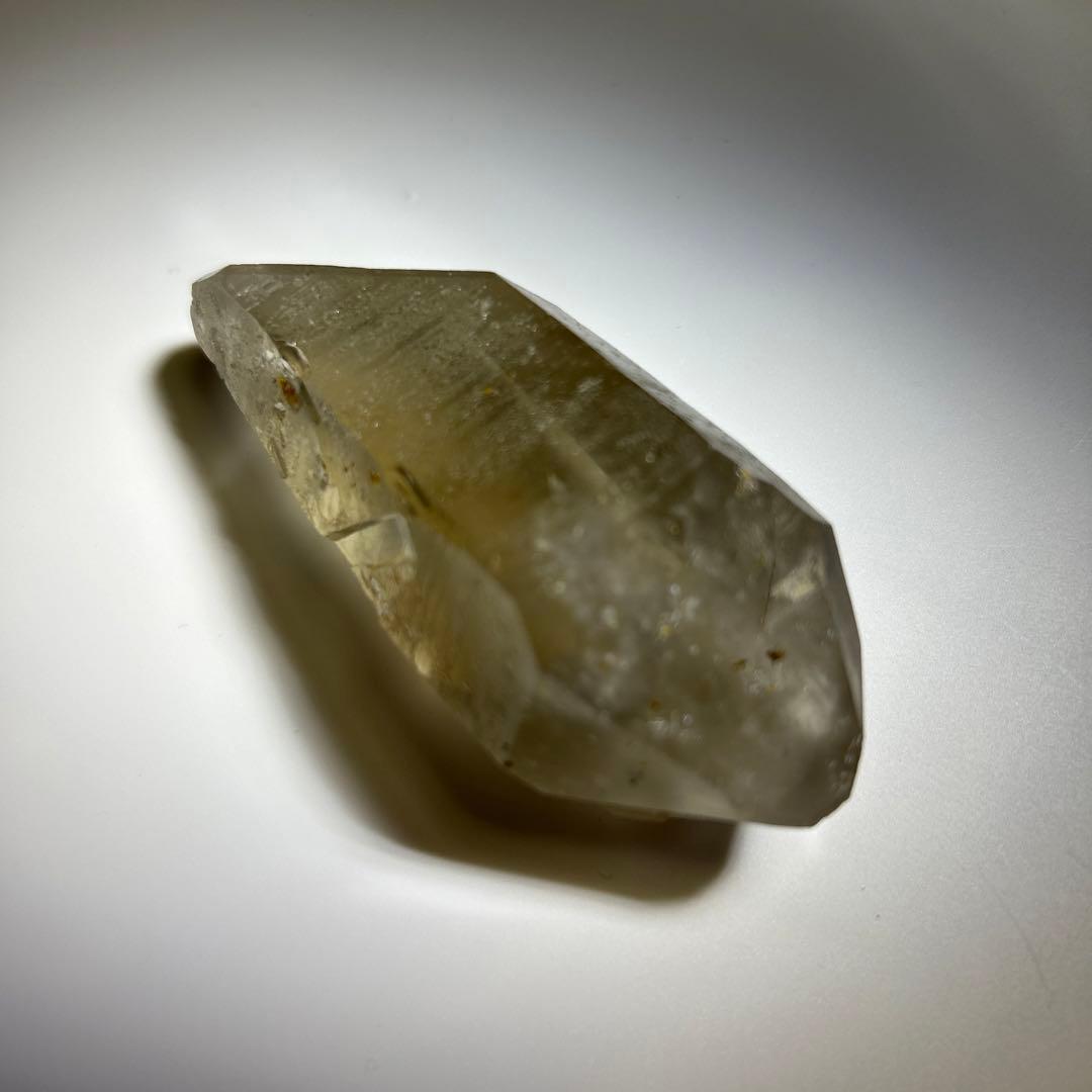 ロシアンレムリアン　スモーキー