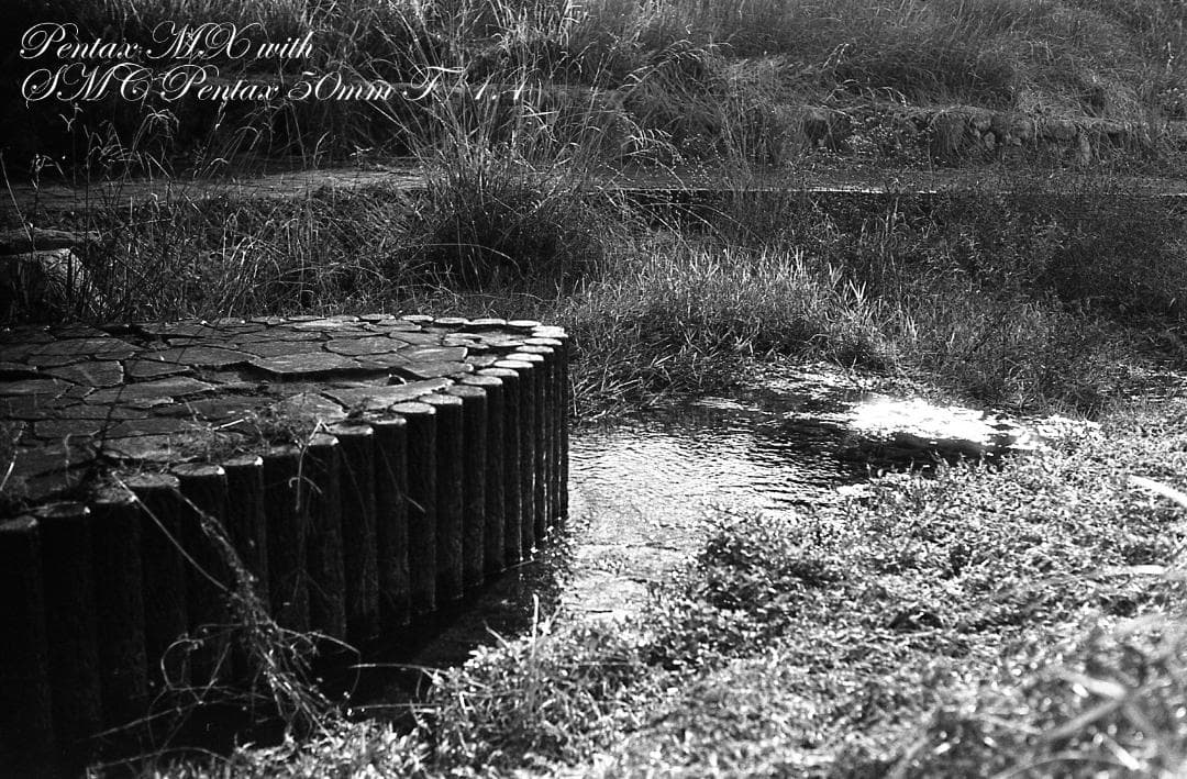 【整備済完動品】PENTAX MX ＋SMC PENTAX 50mm F/1.4