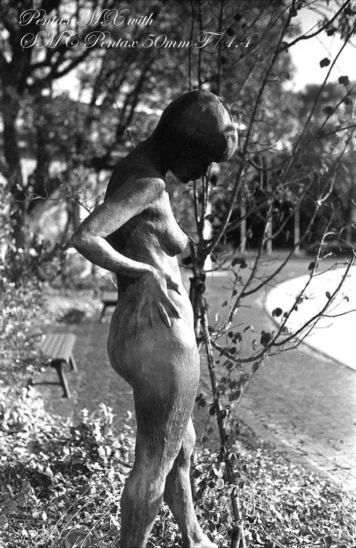 【整備済完動品】PENTAX MX ＋SMC PENTAX 50mm F/1.4