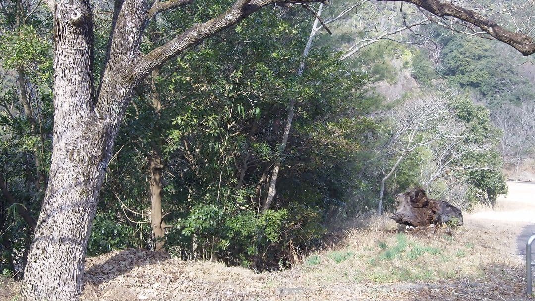 Kodak Zi8 ビデオカメラ 本体 動作確認済み　コダック