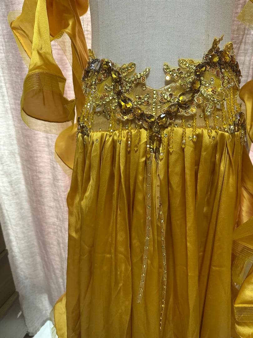 波　オーダー豪華衣装　新品　ベリーダンス　4点セット