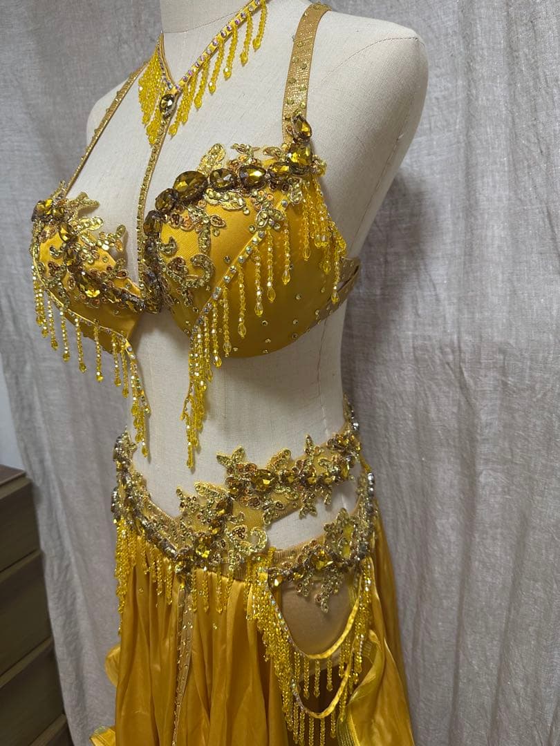 波　オーダー豪華衣装　新品　ベリーダンス　4点セット