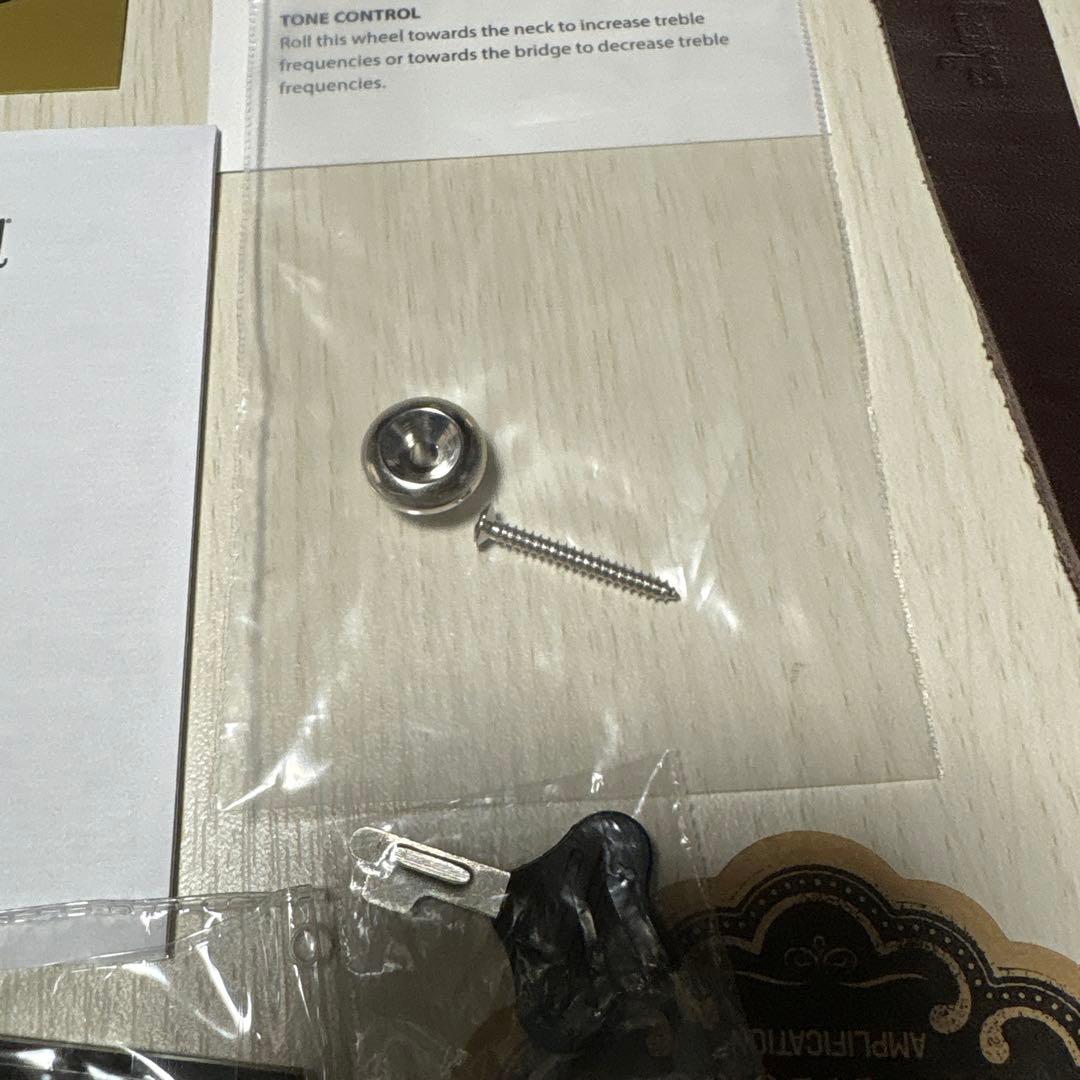 エピフォン奥田民生モデル Epiphone Tamio Okuda J-45