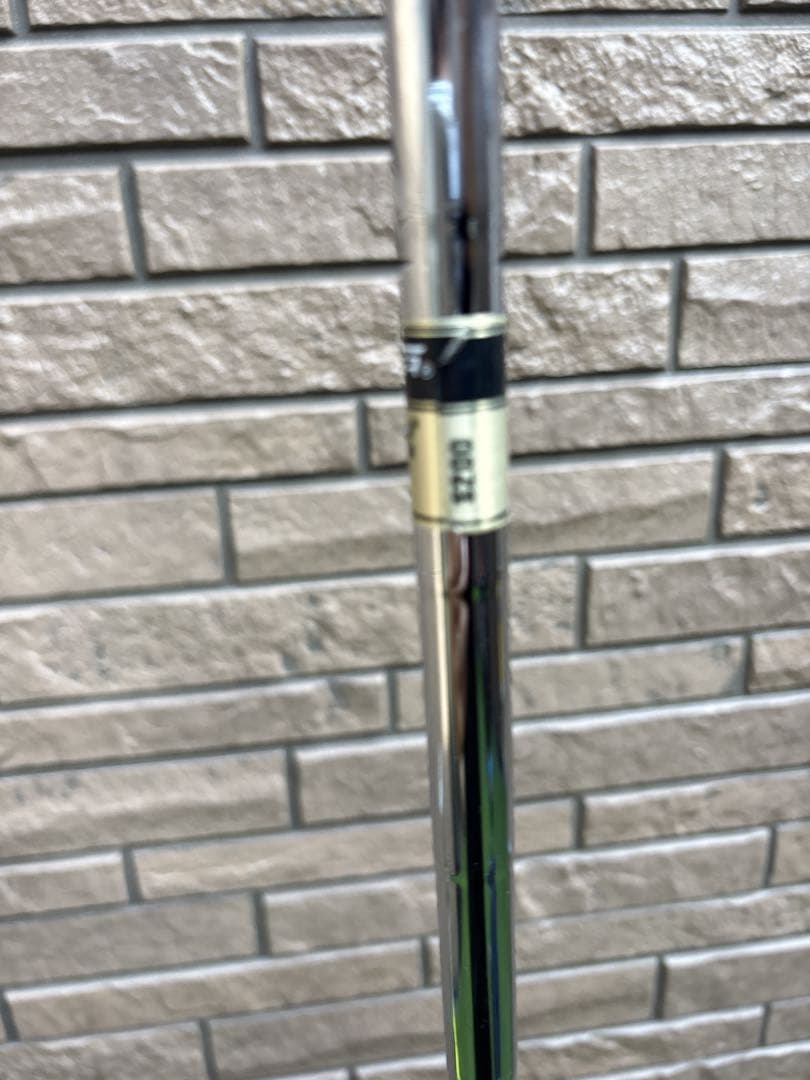 ミズノプロ319 アイアンセット　DG S200 5-P