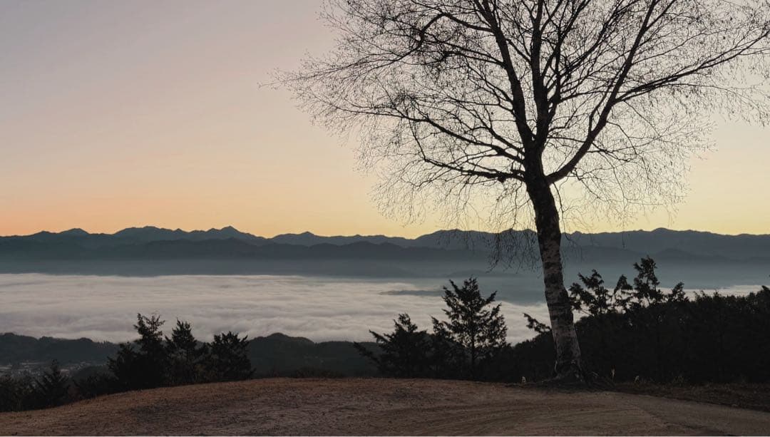 Fujifilm X-T50 ミラーレスカメラ 15-45mmレンズ付き