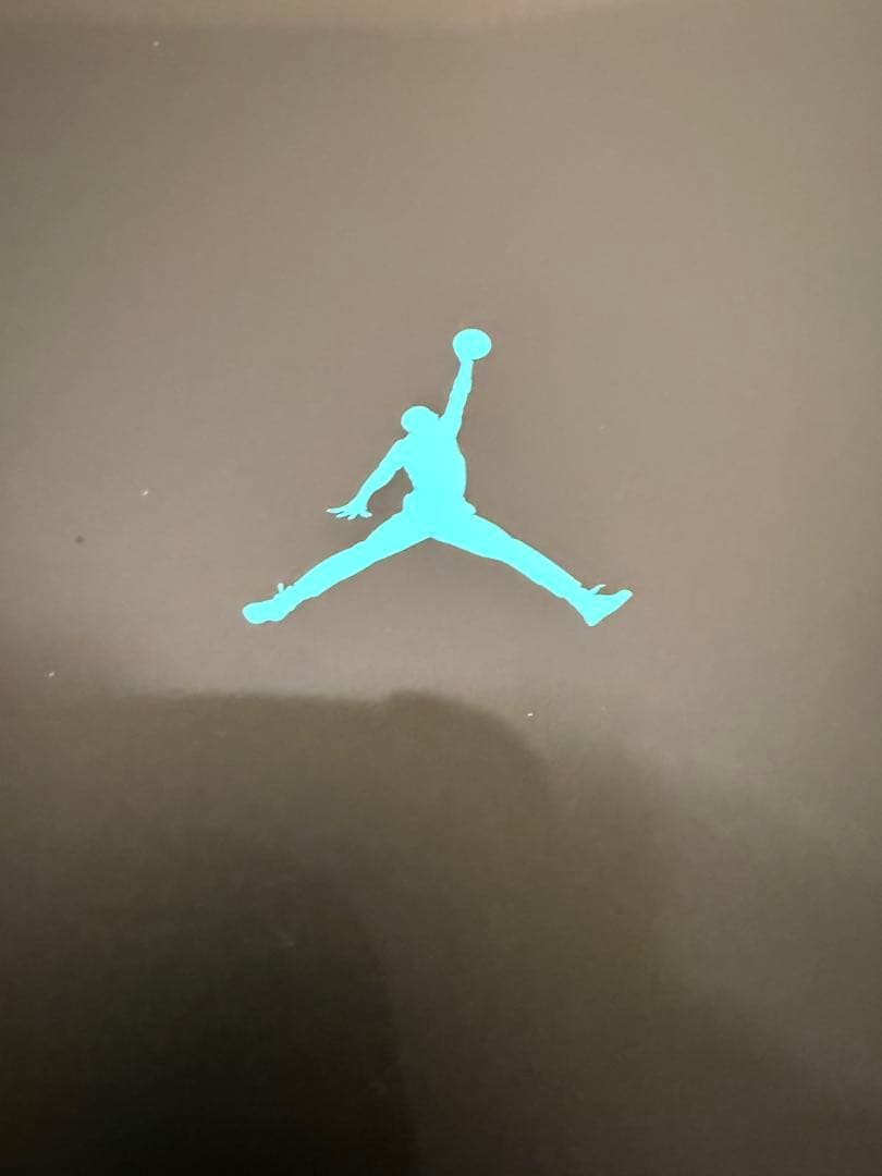 AIR JORDAN11 gamma Blue ガンマブルー30㎝エアジョーダン