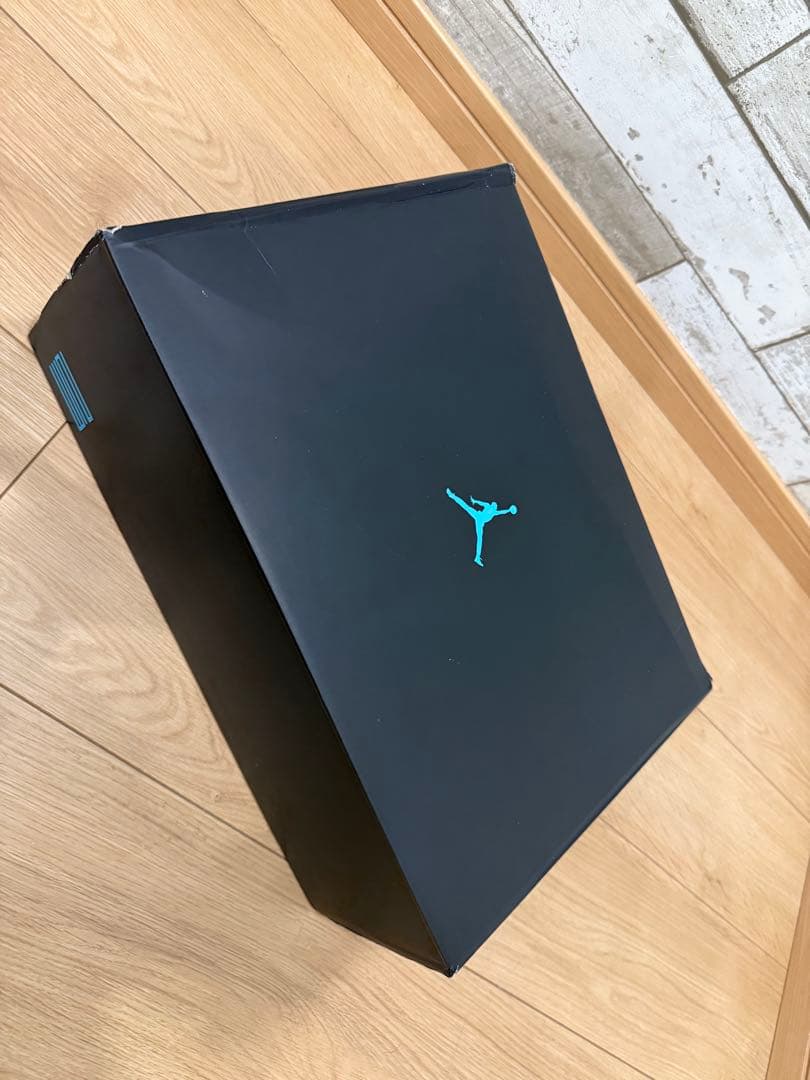AIR JORDAN11 gamma Blue ガンマブルー30㎝エアジョーダン