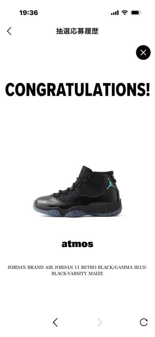 AIR JORDAN11 gamma Blue ガンマブルー30㎝エアジョーダン