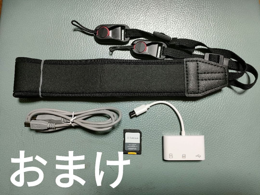 Canon PowerShot SX10 IS 本体