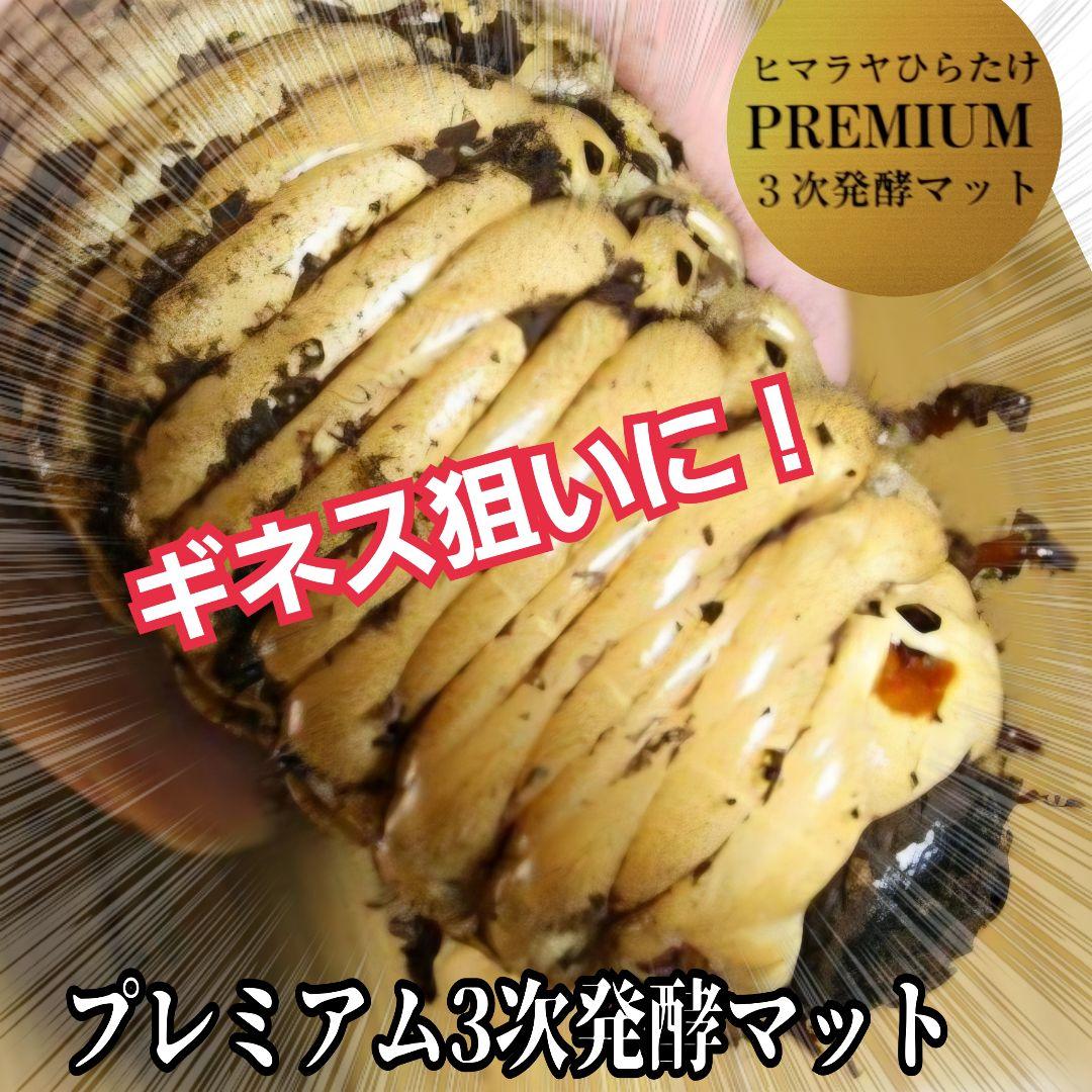 極上！プレミアム3次発酵カブトムシマット【40L】ヘラクレス181ミリ羽化実績！