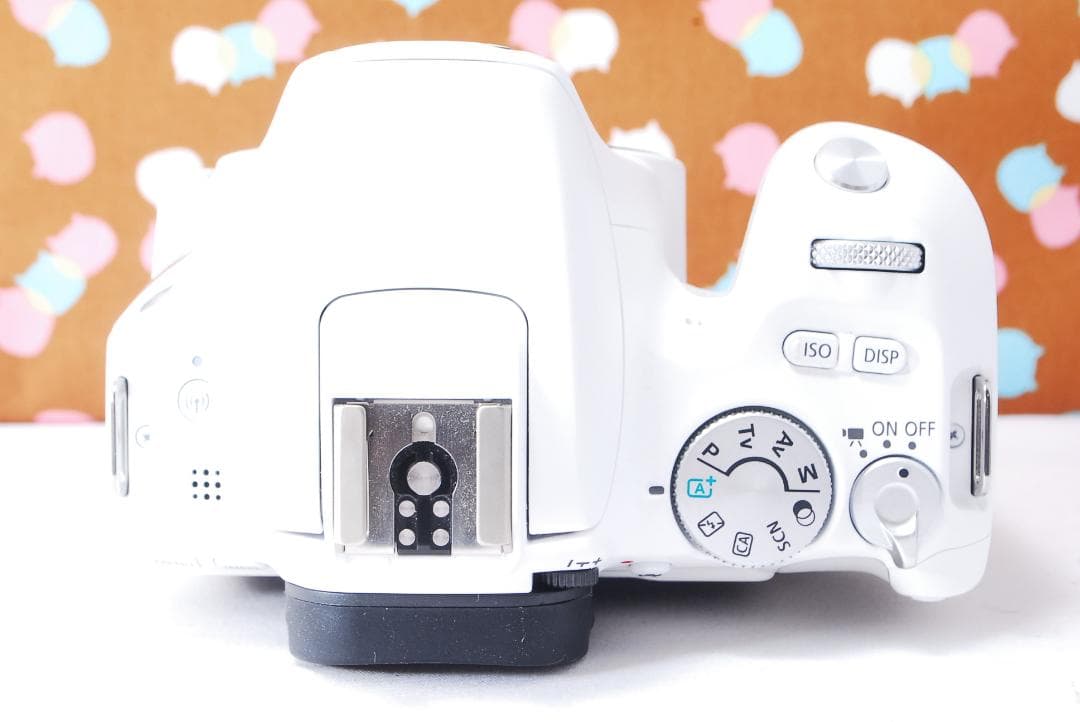 ✨ほぼ新品✨Wi-Fi搭載✨Canon Kiss X9 レンズセット