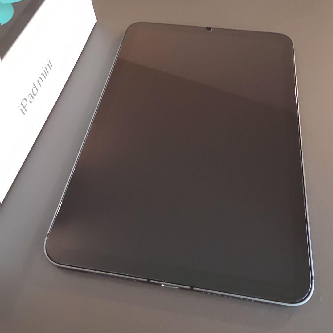 iPad mini6 256GB Cellular スペースグレー 付属品未使用