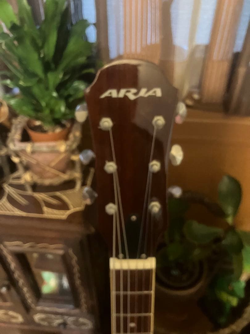 ARIA アコースティックギター ブラウン