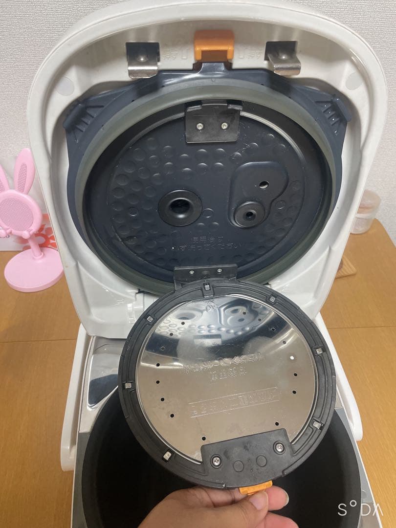 象印ZOJIRUSHI NP-WD10 炊飯器　南部鉄器　極め羽釜　動作品