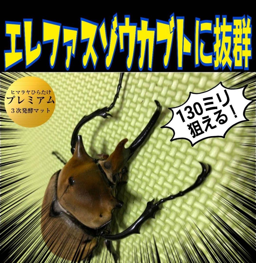 大量飼育に！たっぷり90リットル(9袋)　極上！プレミアム発酵ヘラクレスマット