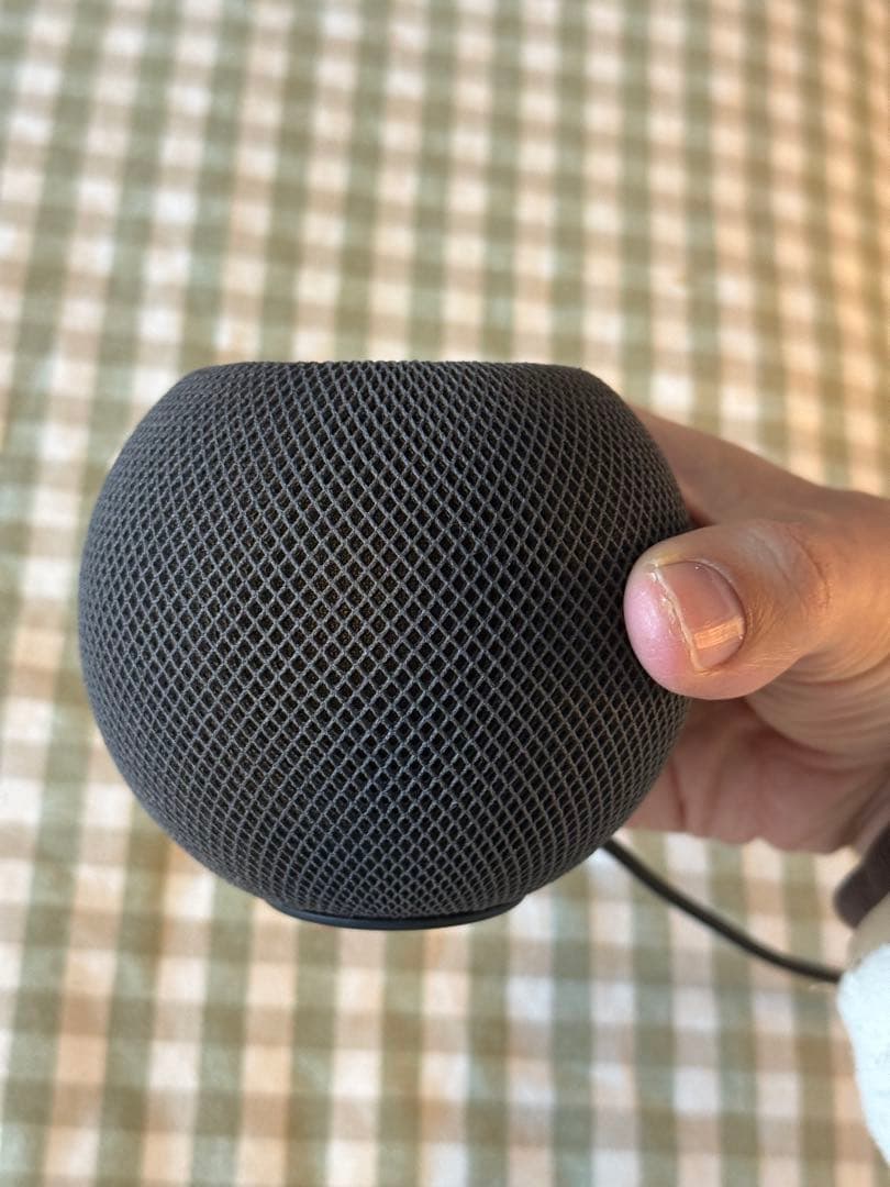 Apple Pod mini スペースグレイ 動作確認済みケーブル付