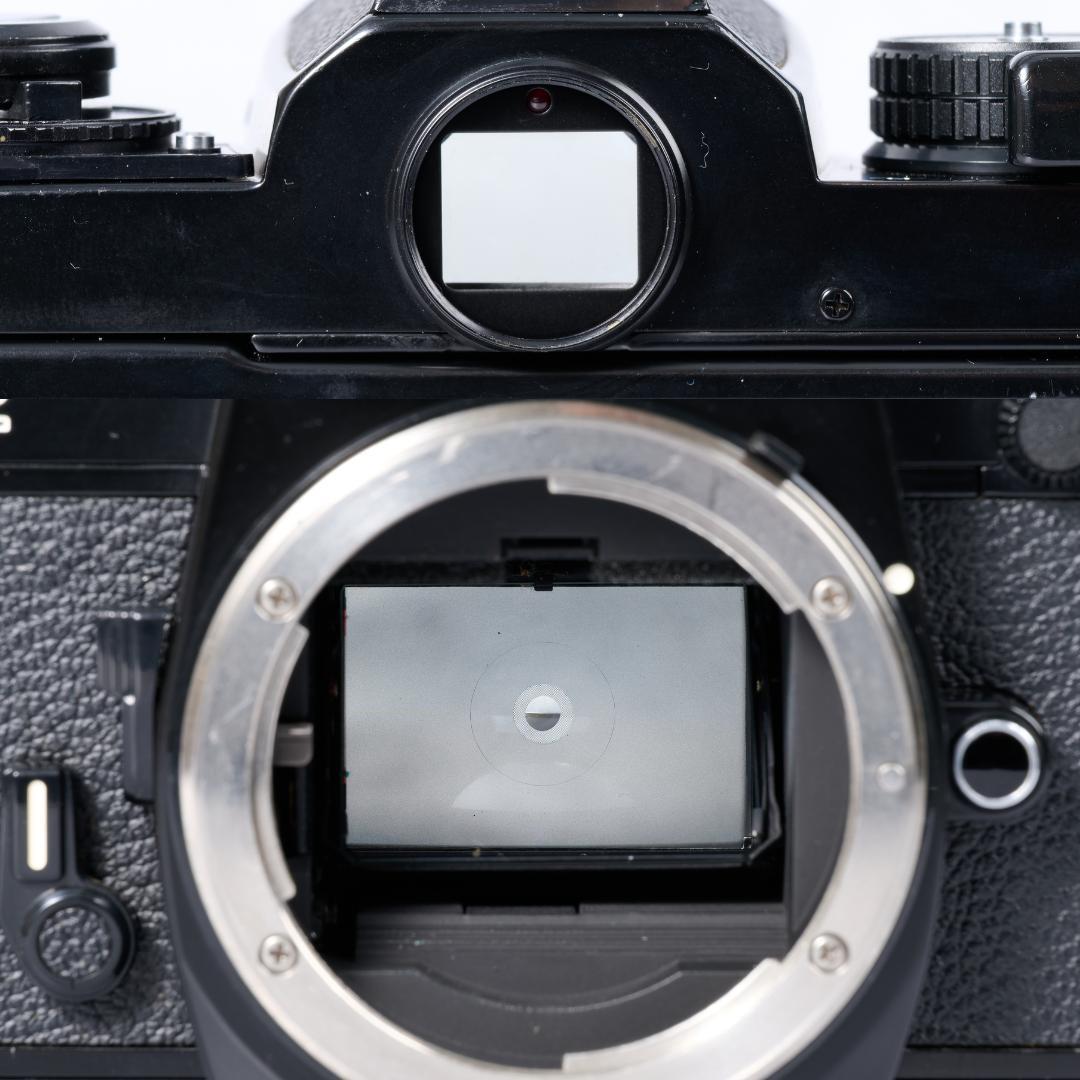 綺麗 NIKON FE2 / AI-S 50mm F1.4