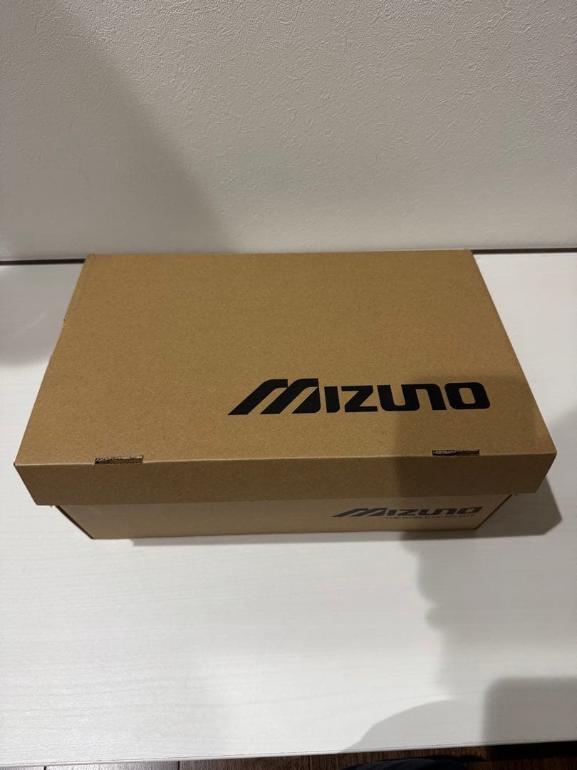 ミズノ Wave Prophecy Moc ゴアテックス ブラック オフホワイト