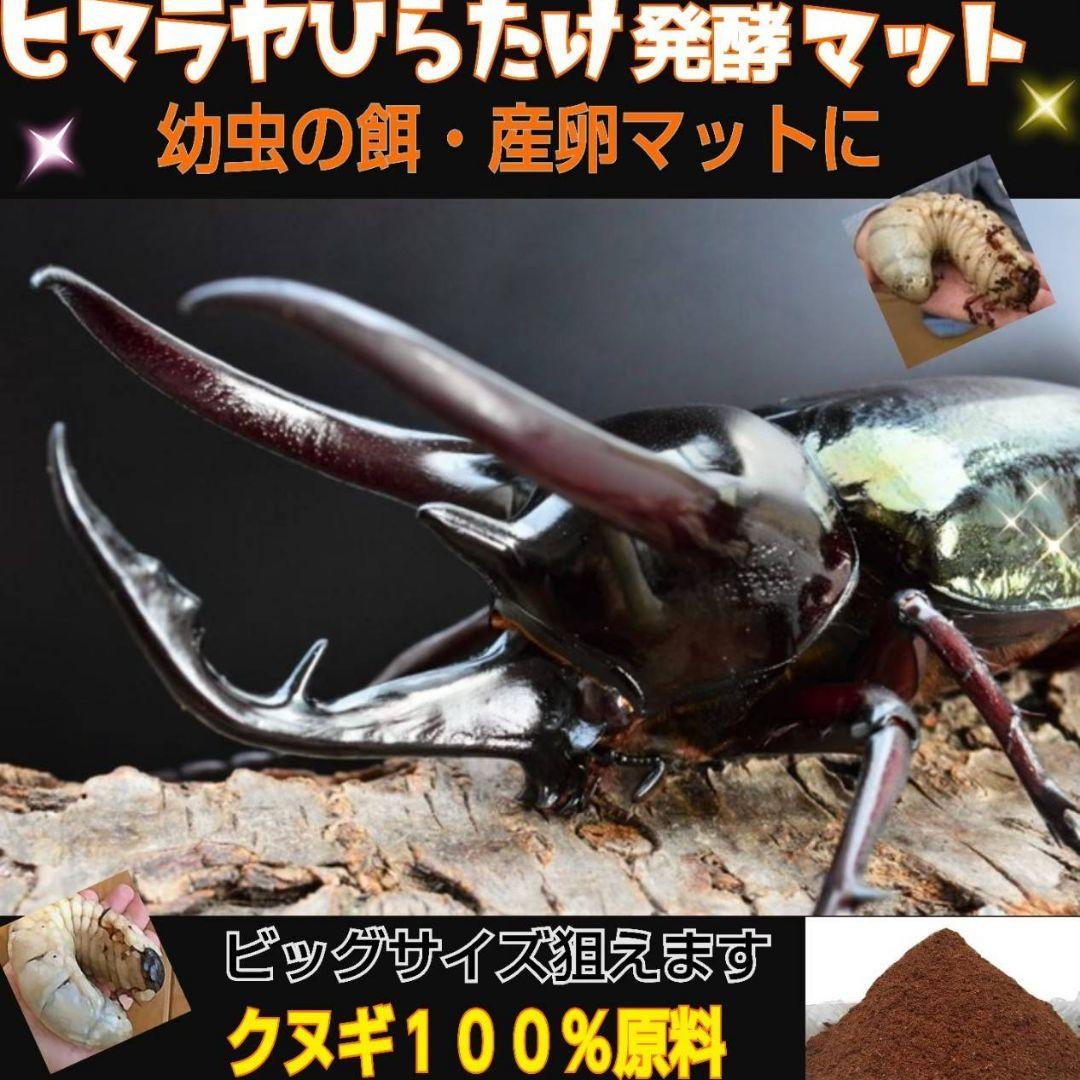 大量飼育に！【300リットル】良質☆発酵カブトムシマット☆幼虫が丸々太ります！